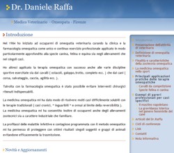 <i>www.danieleraffa.com</i>